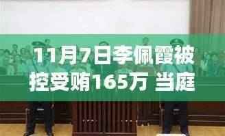 李佩霞受贿案庭审揭秘,当庭认罪悔罪,庭审日背后的温馨人生故事