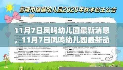 探索成长新篇章,凤鸣幼儿园最新动态与消息(11月7日)