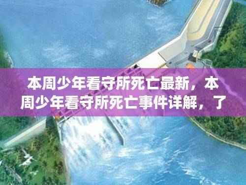 少年看守所死亡事件真相揭秘，最新进展与详解
