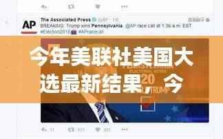 美联社最新大选结果揭晓,深度解读与跟进指南