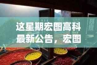 宏图高科引领潮流,启程探寻自然美景诗意之旅的最新公告!
