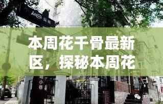 探秘花千骨最新区,小巷深处的独特风味小店本周更新报道