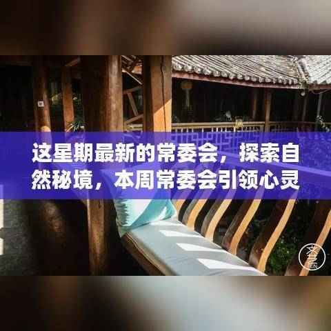 常委会引领心灵探索自然秘境之旅,启程寻找内心平静之路