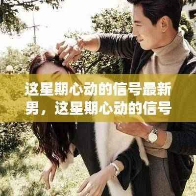 深度解读与观点阐述,最新男嘉宾本周心动信号揭秘