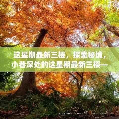 探索秘境,小巷深处的隐藏版美食天堂——最新三樱