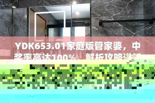 YDK653.01家庭版管家婆,中奖率高达100%,解析攻略详解