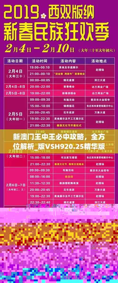 新澳门王中王必中攻略,全方位解析_版VSH920.25精华版