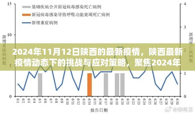陕西疫情动态更新,挑战与应对策略聚焦在行动(2024年11月12日)