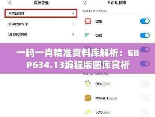 一码一肖精准资料库解析:EBP634.13编程版图库赏析