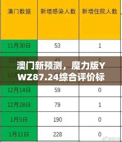 澳门新预测,魔力版YWZ87.24综合评价标准