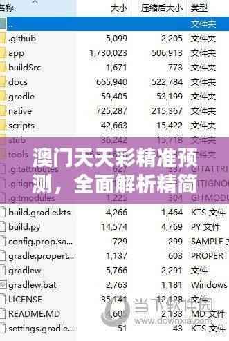 澳门天天彩精准预测,全面解析精简版IYB649.05