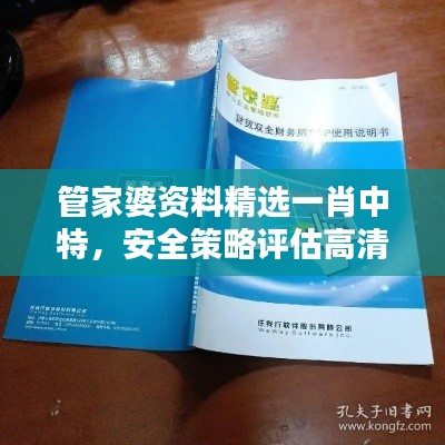 管家婆资料精选一肖中特,安全策略评估高清版FNB438.88