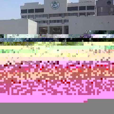 2024新澳门天天开好彩大全正版,素材动态方案解答_魔力版QYU231.33