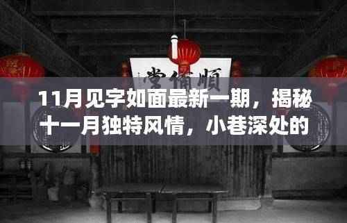 揭秘十一月独特风情,小巷深处的见字如面新篇章(最新一期)