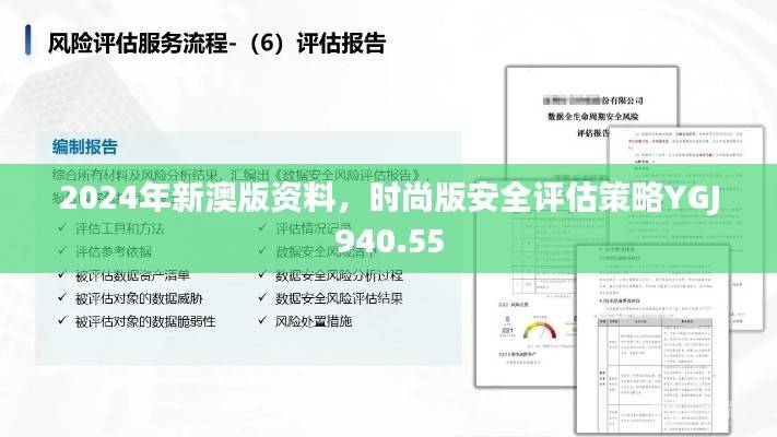 2024年新澳版资料,时尚版安全评估策略YGJ940.55