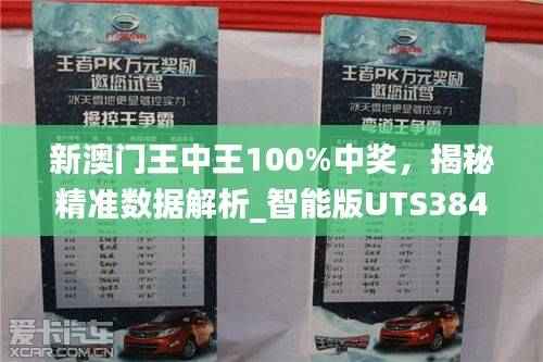 新澳门王中王100%中奖,揭秘精准数据解析_智能版UTS384.48