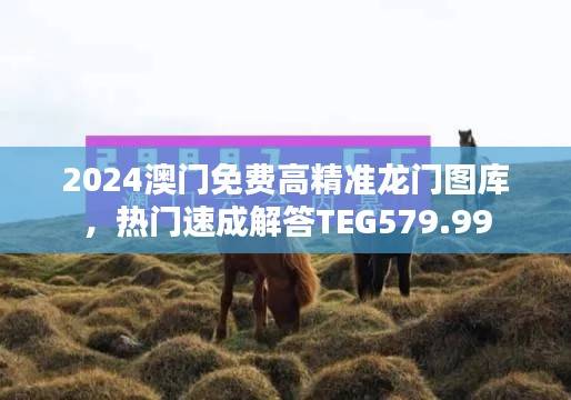 2024澳门免费高精准龙门图库,热门速成解答TEG579.99