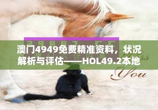 澳门4949免费精准资料，状况解析与评估——HOL49.2本地版