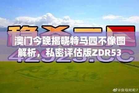 澳门今晚揭晓特马四不像图解析,私密评估版ZDR533.33