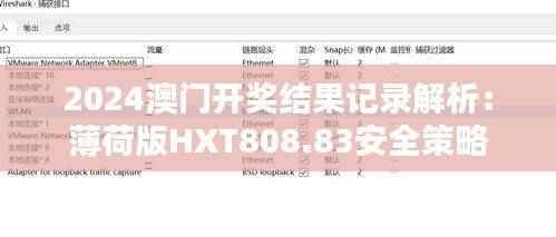 2024澳门开奖结果记录解析:薄荷版HXT808.83安全策略