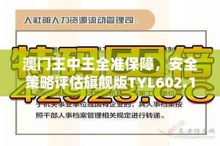 澳门王中王全准保障,安全策略评估旗舰版TYL602.17