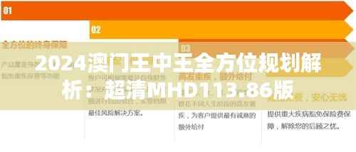 2024澳门王中王全方位规划解析:超清MHD113.86版