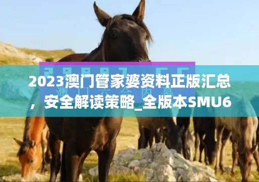 2023澳门管家婆资料正版汇总,安全解读策略_全版本SMU670.27