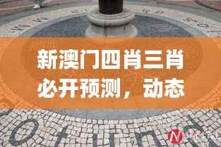 新澳门四肖三肖必开预测,动态词汇深度解读_预览版ZSD677.33