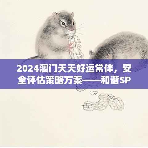 2024澳门天天好运常伴,安全评估策略方案——和谐SPA134.07版