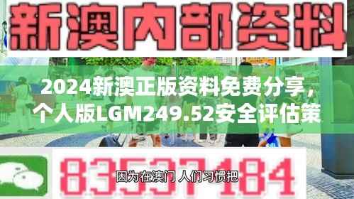 2024新澳正版资料免费分享,个人版LGM249.52安全评估策略