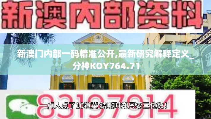 新澳门内部一码精准公开,最新研究解释定义_分神KOY764.71