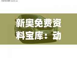 新奥免费资料宝库：动态素材方案解析_铂金FLA121.62版