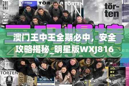 澳门王中王全期必中,安全攻略揭秘_明星版WXJ816.95