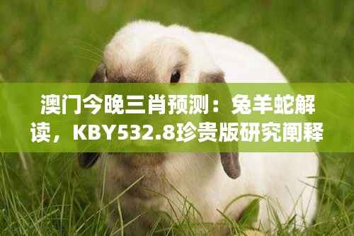 澳门今晚三肖预测:兔羊蛇解读,KBY532.8珍贵版研究阐释