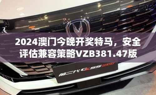 2024澳门今晚开奖特马,安全评估兼容策略VZB381.47版