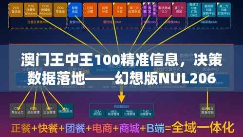 澳门王中王100精准信息,决策数据落地——幻想版NUL206.9