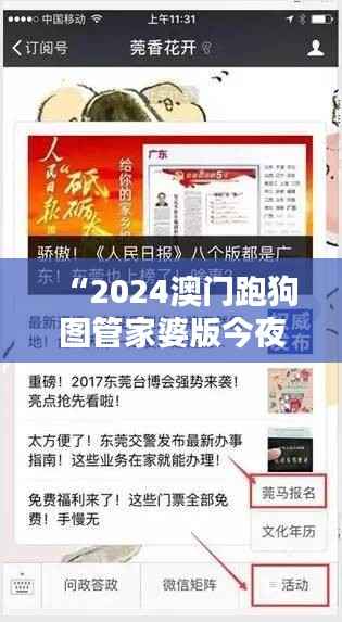 “2024澳门跑狗图管家婆版今夜揭秘:安全策略解析之万天境IVO539.93”