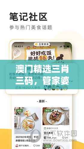 澳门精选三肖三码,管家婆最新规则解读版XLZ115.89