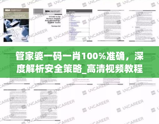 管家婆一码一肖100%准确,深度解析安全策略_高清视频教程UHQ598.87