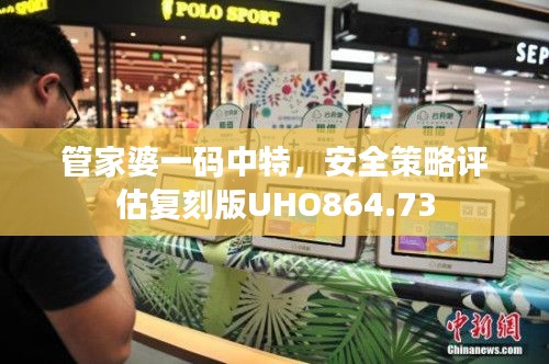 管家婆一码中特,安全策略评估复刻版UHO864.73