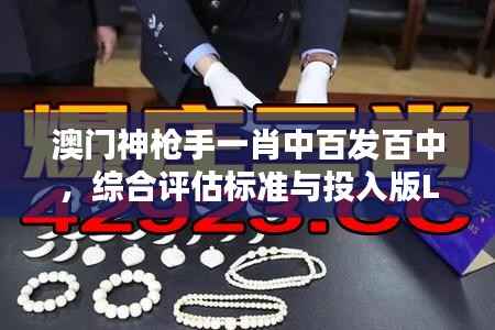 澳门神枪手一肖中百发百中,综合评估标准与投入版LMX485.22