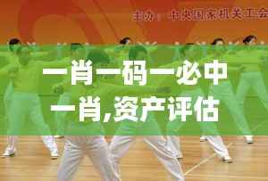 一肖一码一必中一肖,资产评估_广播版WRO249.17