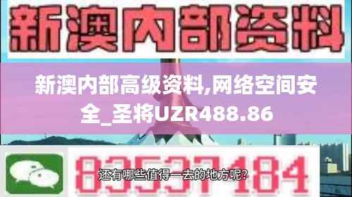 新澳内部高级资料,网络空间安全_圣将UZR488.86