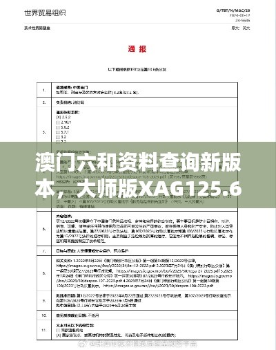澳门六和资料查询新版本,大师版XAG125.65安全评估策略