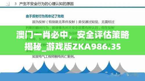 澳门一肖必中，安全评估策略揭秘_游戏版ZKA986.35