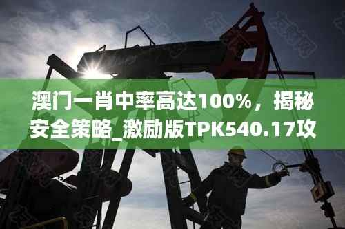澳门一肖中率高达100%,揭秘安全策略_激励版TPK540.17攻略