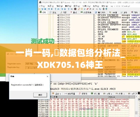 一肖一码,数据包络分析法_XDK705.16神王