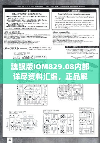 魂银版IOM829.08内部详尽资料汇编,正品解析与定义全新解读