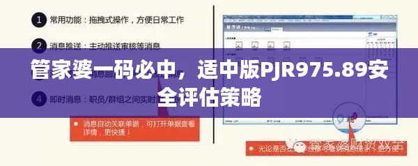 管家婆一码必中,适中版PJR975.89安全评估策略