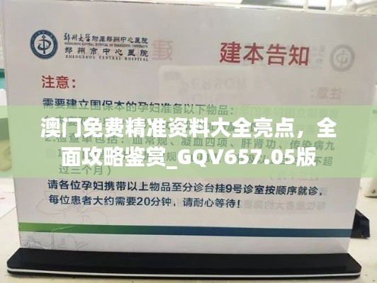 澳门免费精准资料大全亮点,全面攻略鉴赏_GQV657.05版